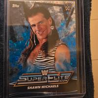 wwe card
