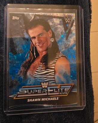 wwe card
