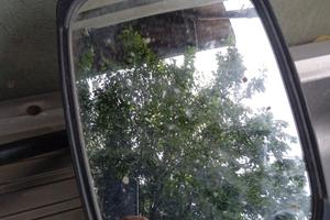 Trattore specchietto