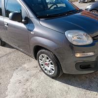 PANDA 1200 BENZINA ANNO 2018