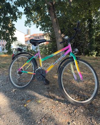 Bicicletta