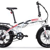 Bicicletta pedalata assistita