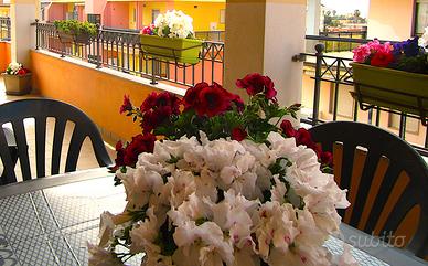 Disponibile mesi invernali - Bilocale Alghero