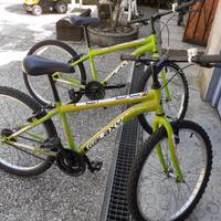 Mountain bike uguali senza cambio