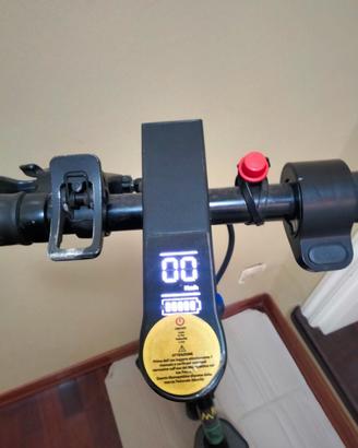 Monopattino elettrico 