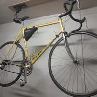 bicicletta de rosa