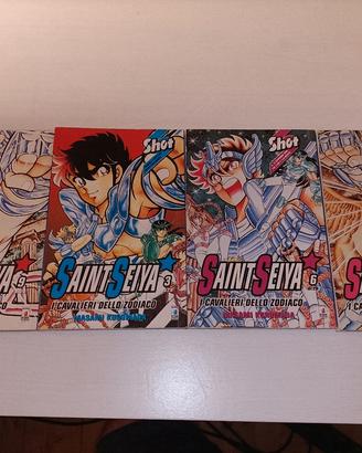 i cavalieri dello zodiaco 