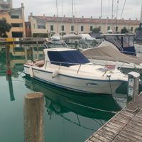 barca GIGLIO 19 