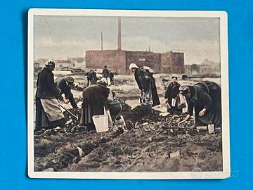 Figurina 34 CARENZA CARBONE 1920 CRISI ECONOMICA