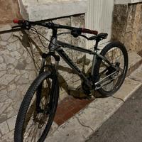 Mountainbike bici