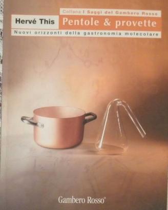 Pentole e provette Herve This Gambero Rosso 2003