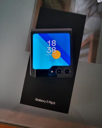 Samsung Z flip 5.