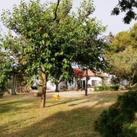 Al mare con il verde di un giardino