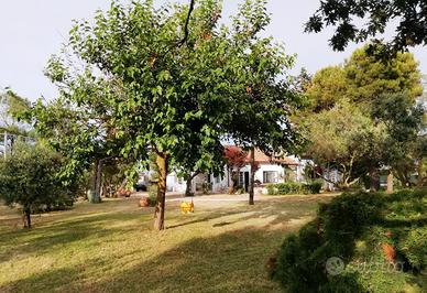 Al mare con il verde di un giardino