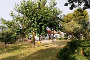 Al mare con il verde di un giardino