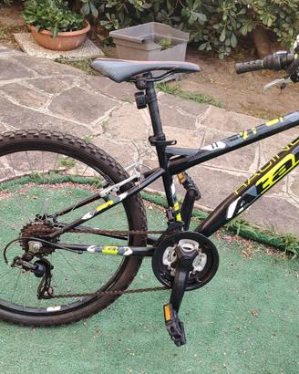 atala 24"