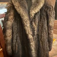 Pelliccia opossum Tasmania