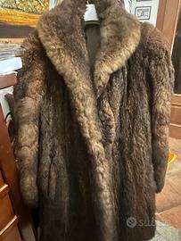 Pelliccia opossum Tasmania