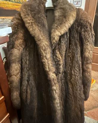 Pelliccia opossum Tasmania