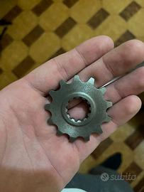 pignone am6 13 denti