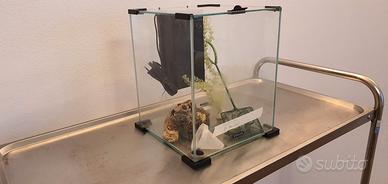 acquario cubino ZOLUX