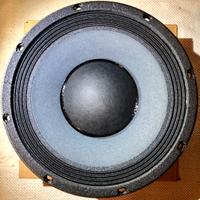 Coni Eden  10”  EMINENCE EC1060XS16E - 210XST