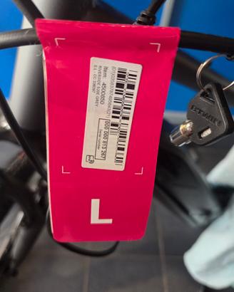 bicicletta 