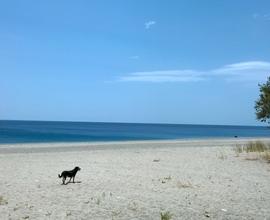 A pochi passi dal mare