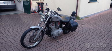 Harley Davidson 883 XL 53