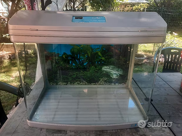 Acquario