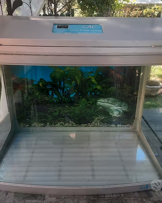 Acquario
