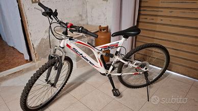 Bicicletta schiano rider
