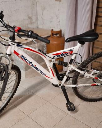 Bicicletta schiano rider