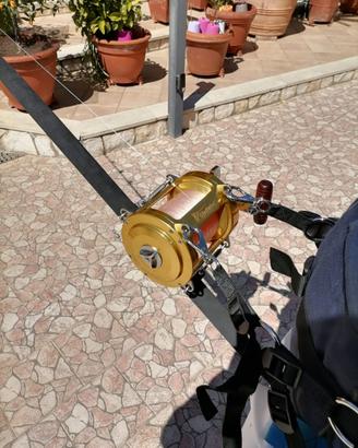 Italcanna Mulinello Gladiator 12.0 2 speed + stand