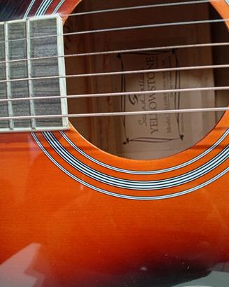 Chitarra acustica Soundstation