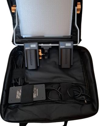 NEEWER NL 480 2 Kit d’Illuminazione Luce 480 LED