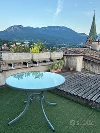 Tavolo da giardino e ficus elastica