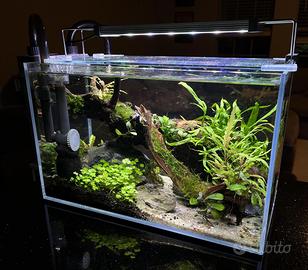 mix Acquario