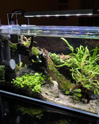 mix Acquario