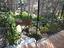 Immagine 26