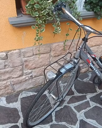 Bicicletta Donna - Graziella City Monviso