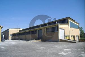 Immobile di 16000 m² con più di 5 locali a Busseto