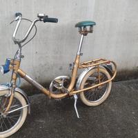 GRAZIELLA CARNIELLI TUTTA D'ORO