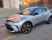 Ricambi musata Toyota c-hr anno 2022