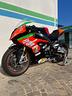bmw-s-1000-rr-da-pista