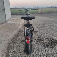 Mosquito bianchi aquilotto super