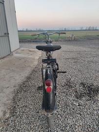 Mosquito bianchi aquilotto super