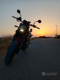 Benelli leoncino 500