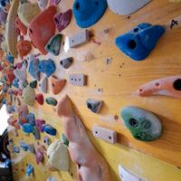 Pannello arrampicata 