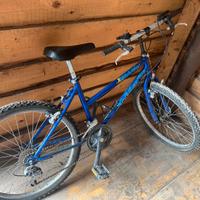 Bicicletta